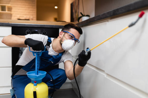 Best Rat Extermination Near Me  in Soquel, CA