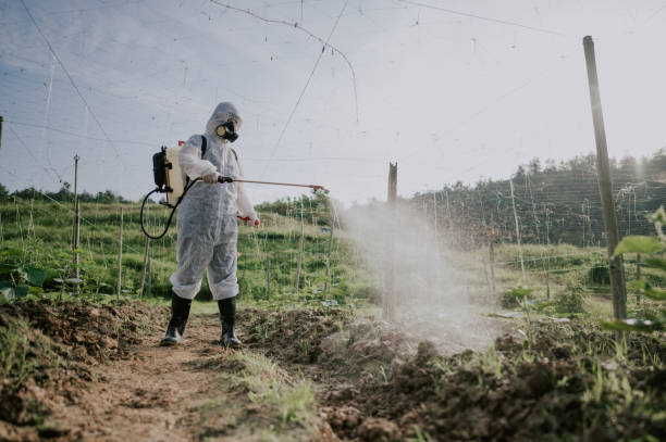 Best Pest Removal Services  in Soquel, CA