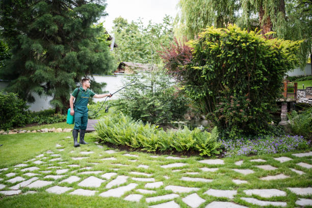 Best Pest Control Near Me in Soquel, CA