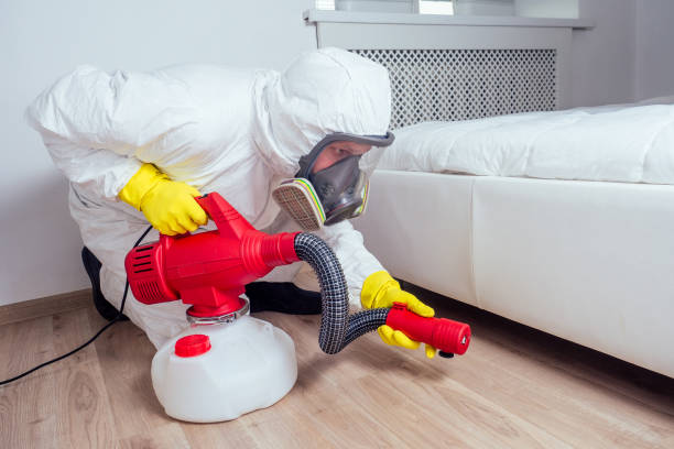 Best Mosquito Control Services  in Soquel, CA