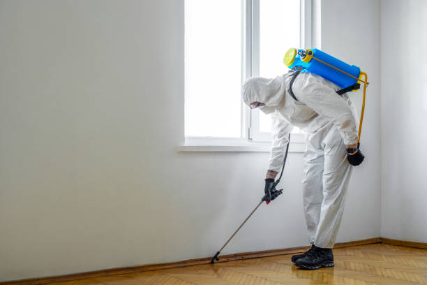 Best Bed Bug Extermination  in Soquel, CA