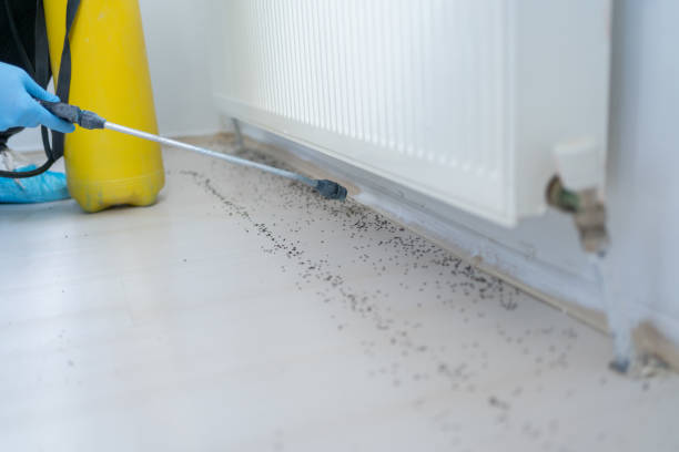 Best Emergency Pest Control  in Soquel, CA