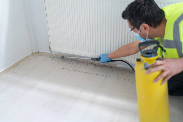 Best Termite Control Services  in Soquel, CA